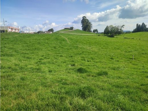 Teren w La Unión, Departamento de Antioquia