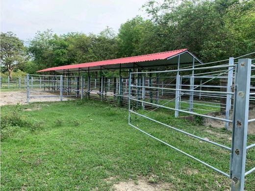 Ferme à Santa Marta, Departamento del Magdalena