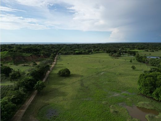 Terreno - San Bernardo del Viento, Departamento de Córdoba