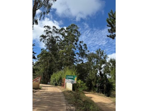 Ferme à Los Santos, Departamento de Santander