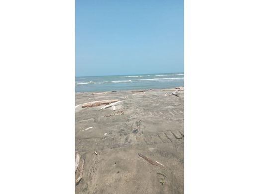 Arsa Cartagena, Cartagena de Indias
