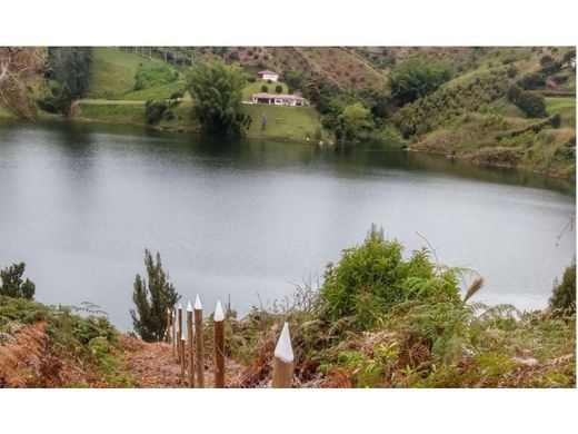 地皮  El Peñol, Yarumal