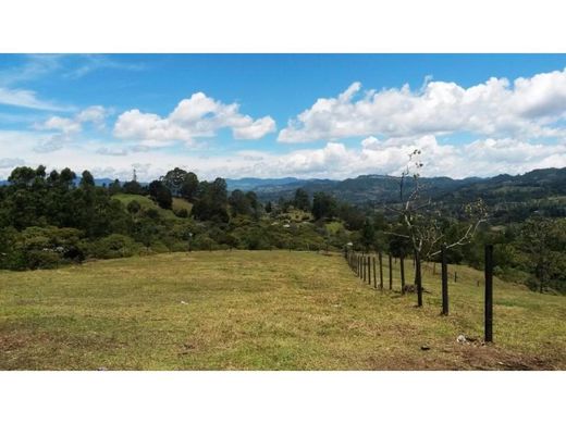 Grundstück in Rionegro, Departamento de Antioquia