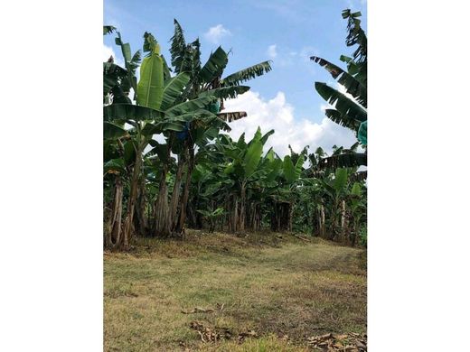 전원/농가 / Quimbaya, Quindío Department