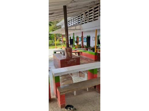 Farmhouse in Betania, Departamento de Antioquia