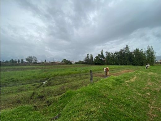 Land in Cajicá, Cundinamarca