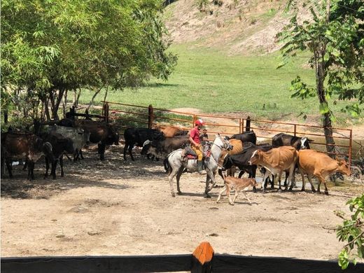 Ρουστίκ ή αγροικία σε Cimitarra, Departamento de Santander