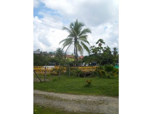 Arsa Buenaventura, Departamento del Valle del Cauca