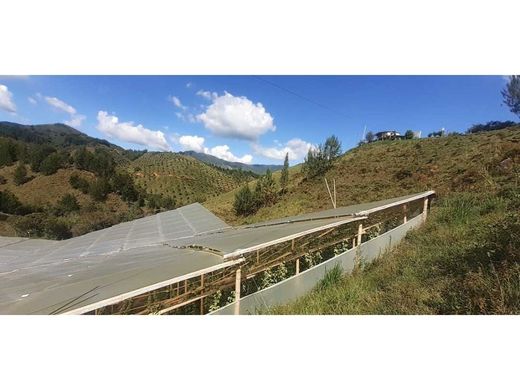 أرض ﻓﻲ Abejorral, Departamento de Antioquia