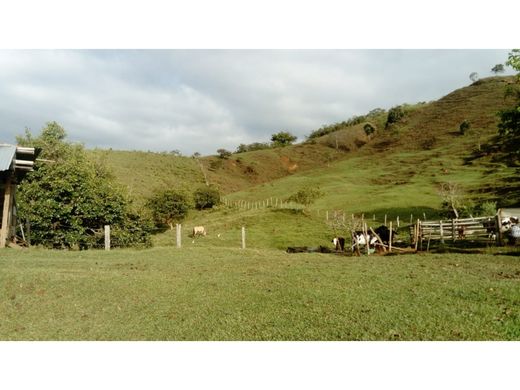 Rustik ya da çiftlik Tuluá, Departamento del Valle del Cauca
