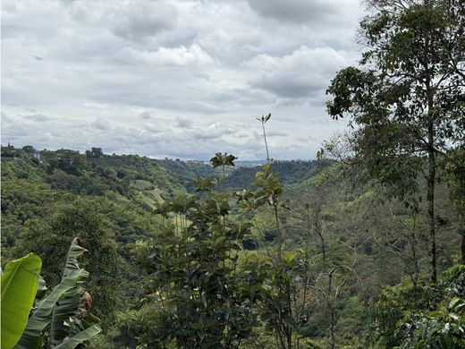 ﻣﻨﺰﻝ ﺭﻳﻔﻲ/ ﺑﻴﺖ ﻤﺰﺭﻋﺔ ﻓﻲ Calarcá, Calarca