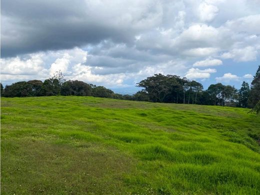 Αγροτεμάχιο σε Rionegro, Departamento de Antioquia
