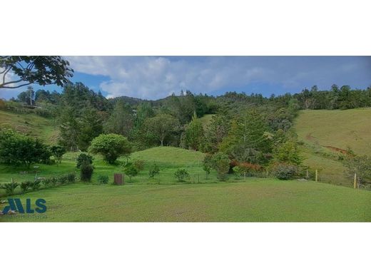 地皮  Retiro, Departamento de Antioquia