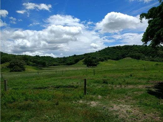 Quinta rústica - Guayabal, Armero