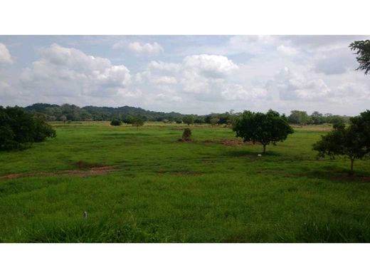 Ferme à Puerto Berrío, Departamento de Antioquia