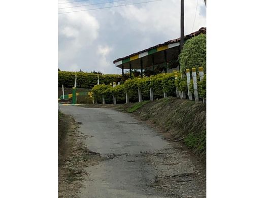 전원/농가 / Quimbaya, Quindío Department