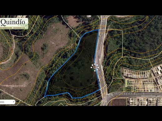 Arsa Armenia, Quindío Department