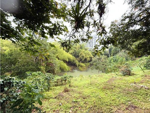 Land in Armenia, Quindío Department