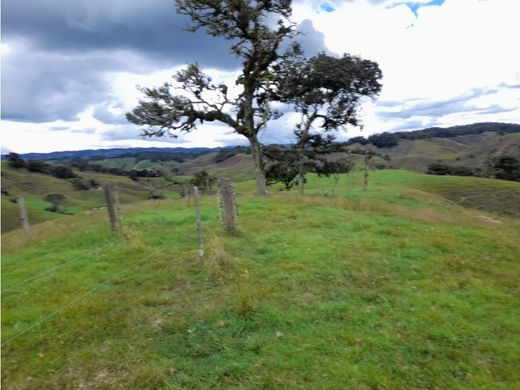 Ρουστίκ ή αγροικία σε San José de la Montaña, San José de La Montaña