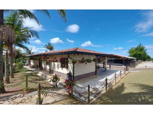 Rustik ya da çiftlik Rionegro, Departamento de Antioquia