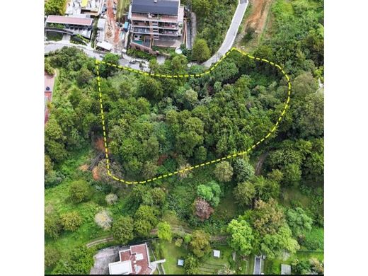 地皮  麦德林, Medellín