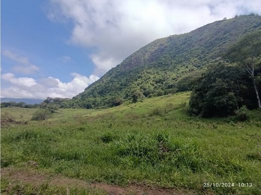 Quinta rústica - Fredonia, Departamento de Antioquia