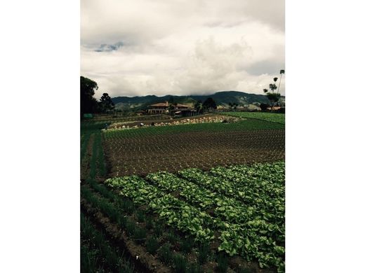 Land in Sonsón, Sonson