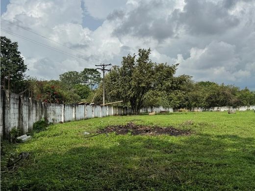 地皮  卡利, Cali