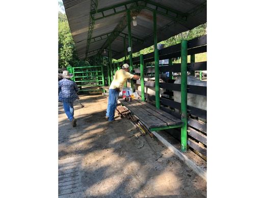 ‏בתים כפריים או חוות ב  Puerto Nare, Departamento de Antioquia