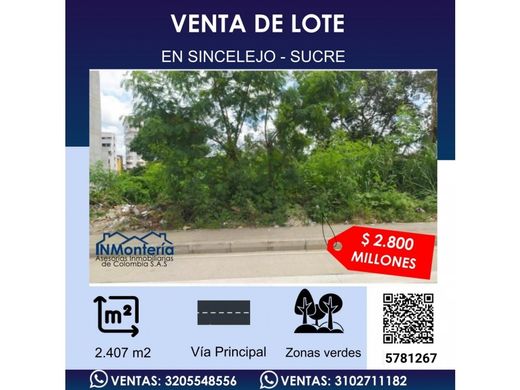 Land in Sincelejo, Departamento de Sucre