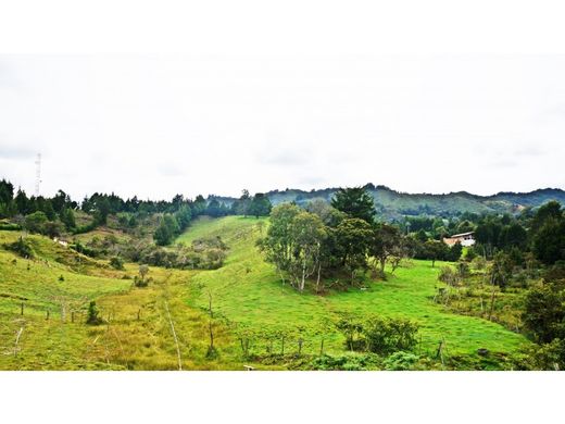 ‏קרקע ב  Rionegro, Departamento de Antioquia