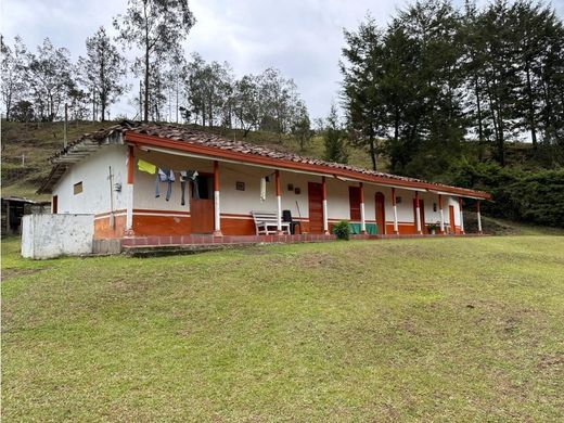 ‏בתים כפריים או חוות ב  San Vicente, San Vicente Ferrer