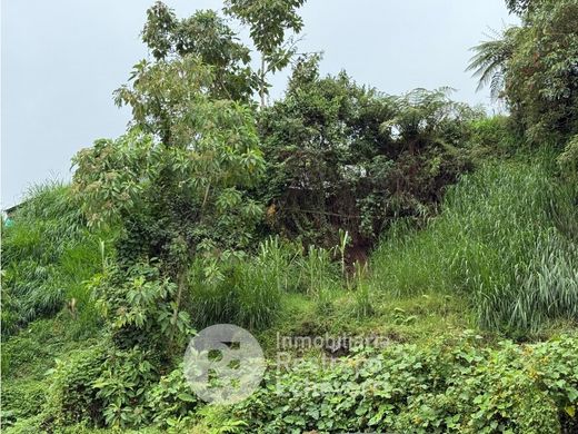 Terreno a Manizales, Departamento de Caldas