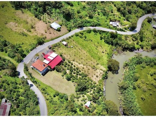 Элитный дом, Барбоза, Barbosa