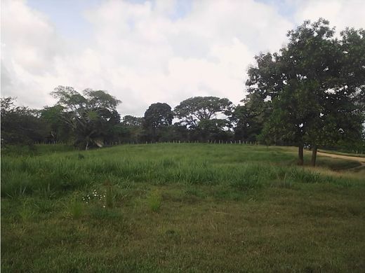 Cortijo o casa de campo en Pueblo Nuevo, Departamento de Córdoba