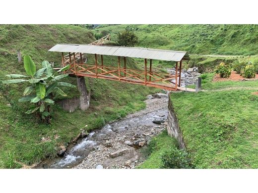 Farmhouse in Santa Rosa de Cabal, Departamento de Risaralda