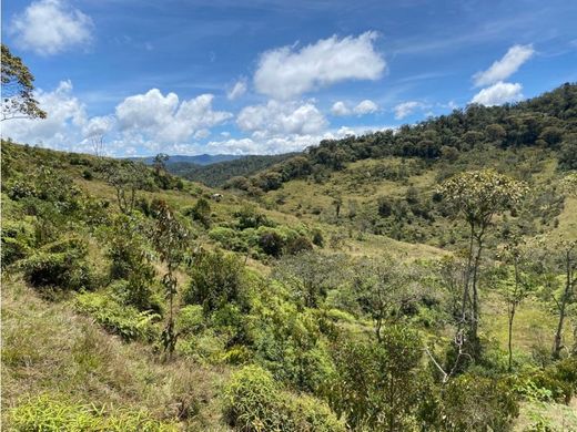 أرض ﻓﻲ Cocorná, Departamento de Antioquia