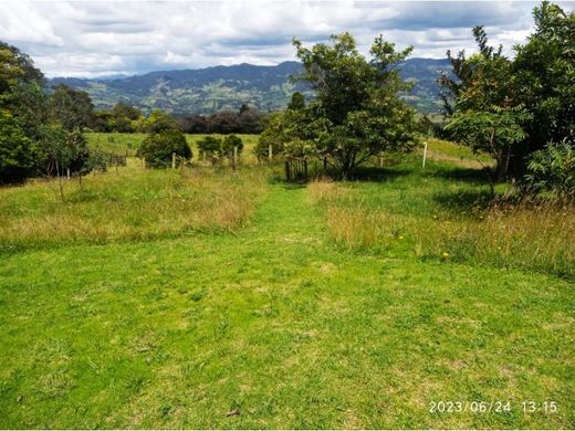 Farmhouse in Subachoque, Cundinamarca