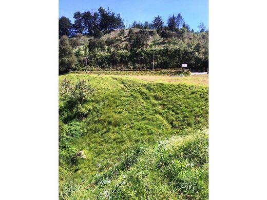 أرض ﻓﻲ Rionegro, Departamento de Antioquia