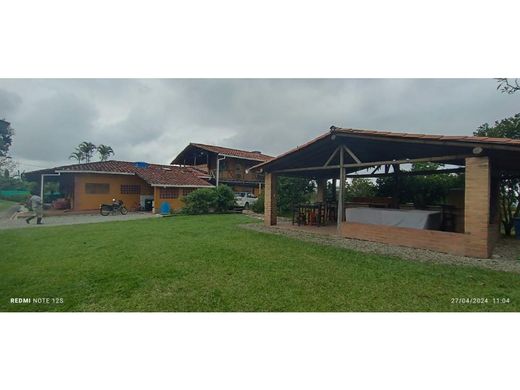 Country House in Circasia, Quindío Department