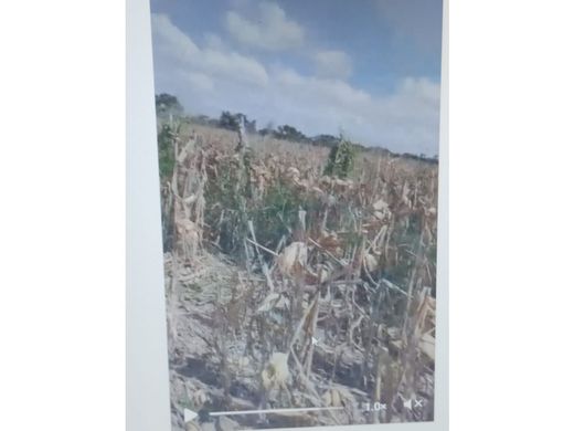 Terreno - Montería, Departamento de Córdoba