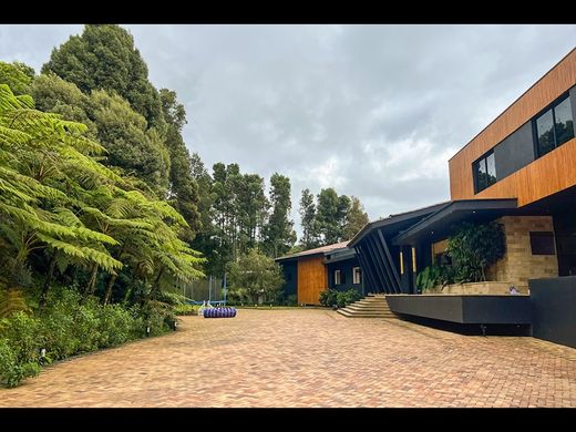 호화 저택 / 메데인, Medellín