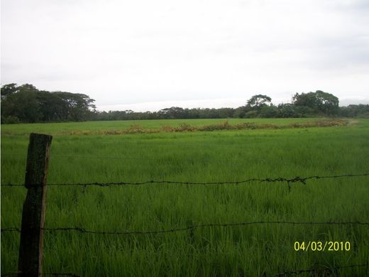 Guamo, Departamento de Tolimaのカントリー風またはファームハウス