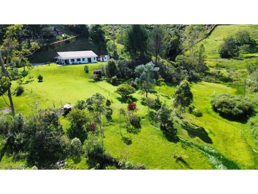 Rustik ya da çiftlik Rionegro, Departamento de Antioquia