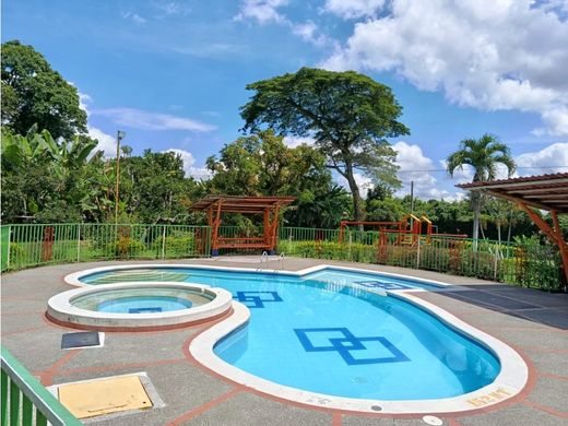 Daire Montenegro, Quindío Department