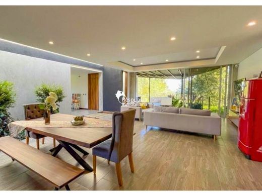 호화 저택 / 메데인, Medellín