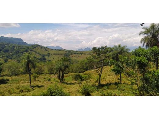 Terrain à La Pintada, Departamento de Antioquia