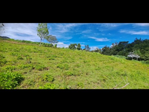 Αγροτεμάχιο σε Carmen de Viboral, El Carmen de Viboral