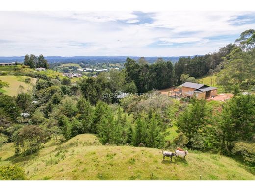 ‏קרקע ב  Rionegro, Departamento de Antioquia