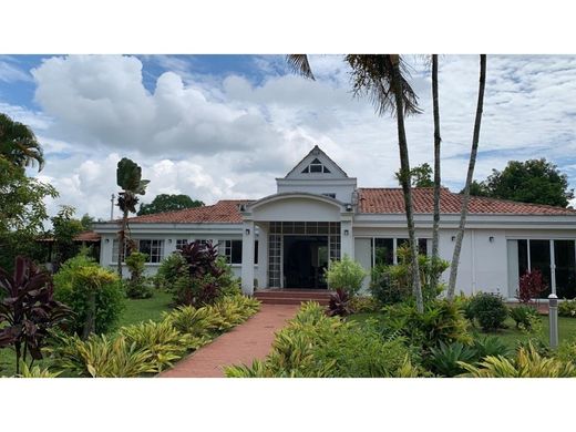 컨트리하우스 / La Tebaida, Quindío Department